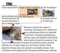 1563759778.png pictures_edit.png