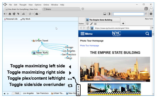 思维导图TheBrain基础实操教程——定制TheBrain使用环境 思维导图TheBrain基础实操教程——定制TheBrain使用环境
