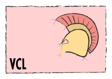 d475e558442b4096be5dd9bc558a1fa8o.jpg d475e558442b4096be5dd9bc558a1fa8o.jpg