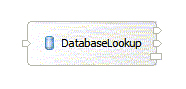 Database lookup 中介基元